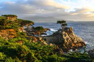 Lone Cypress on 17 Mile Drive-0171 Lone Cypress on 17 Mile Drive-0171